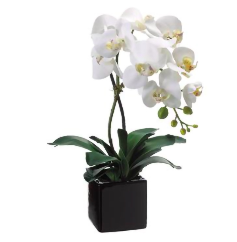 PLANTA DE MESA DE PLASTICO 20 PLG ORQUIDEA