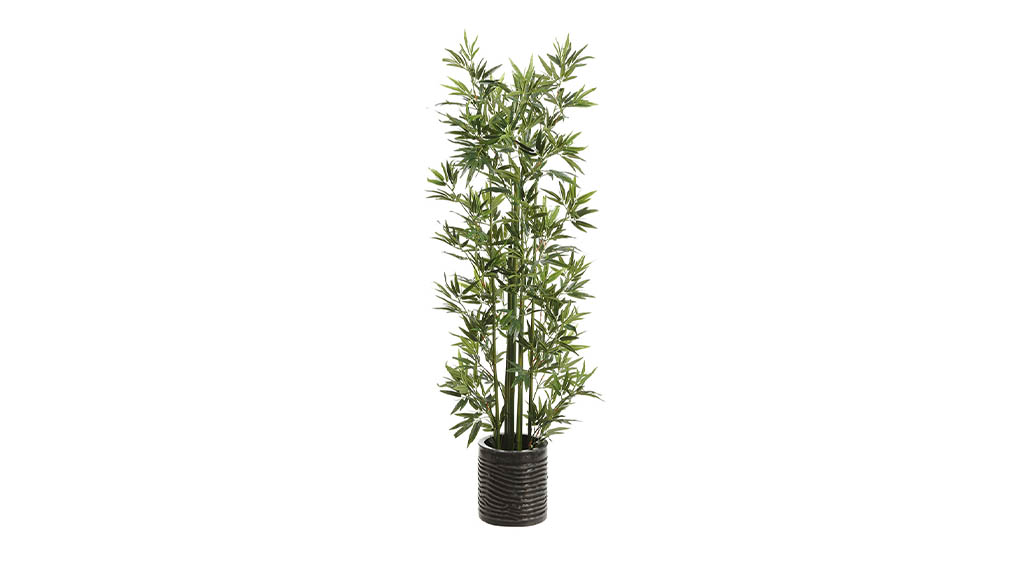 PLANTA DE PISO BAMBOO TREE