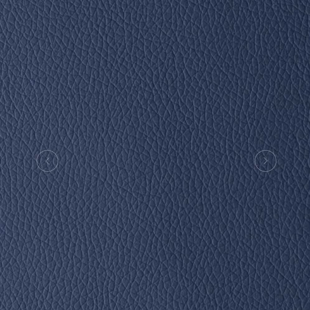 OMEGA BLUE