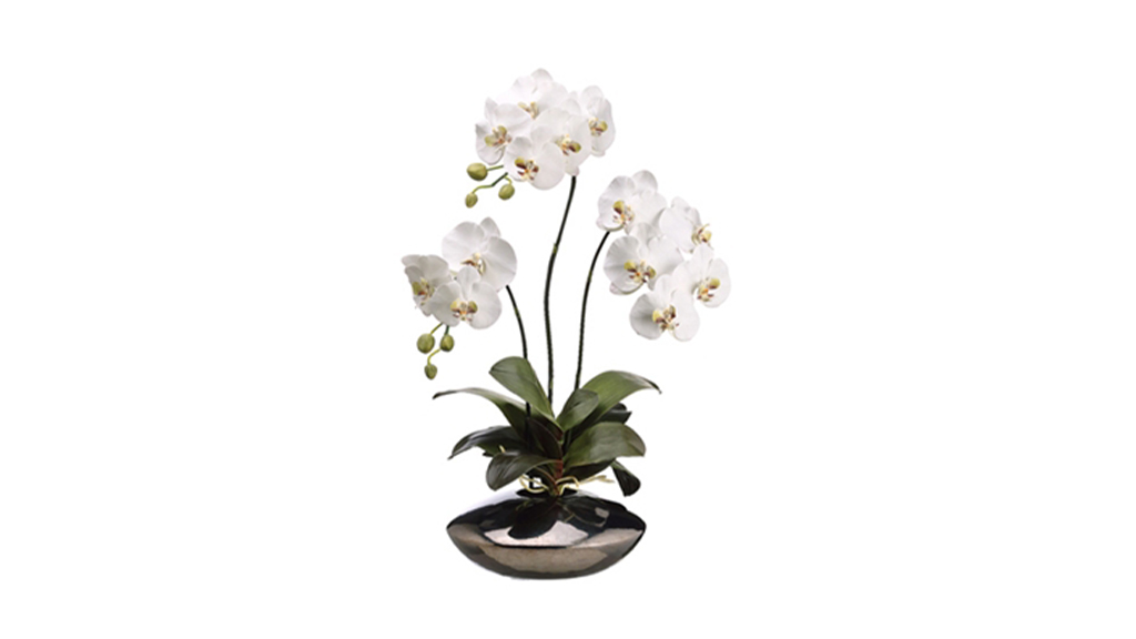 ARREGLO FLORAL PHALAENOPSIS WHITE 138