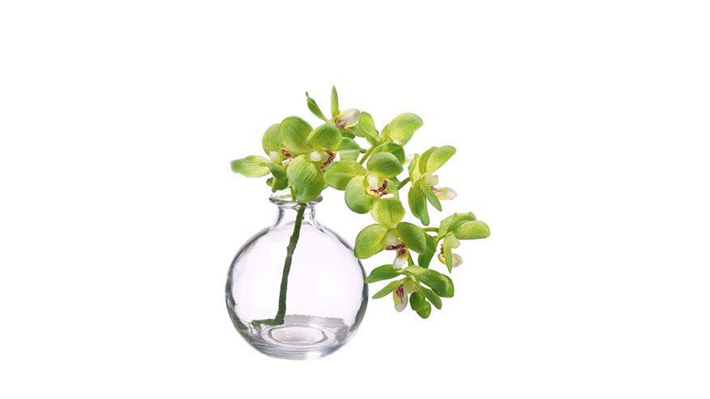 ARREGLO FLORAL PHALAENOPSIS GREEN 956