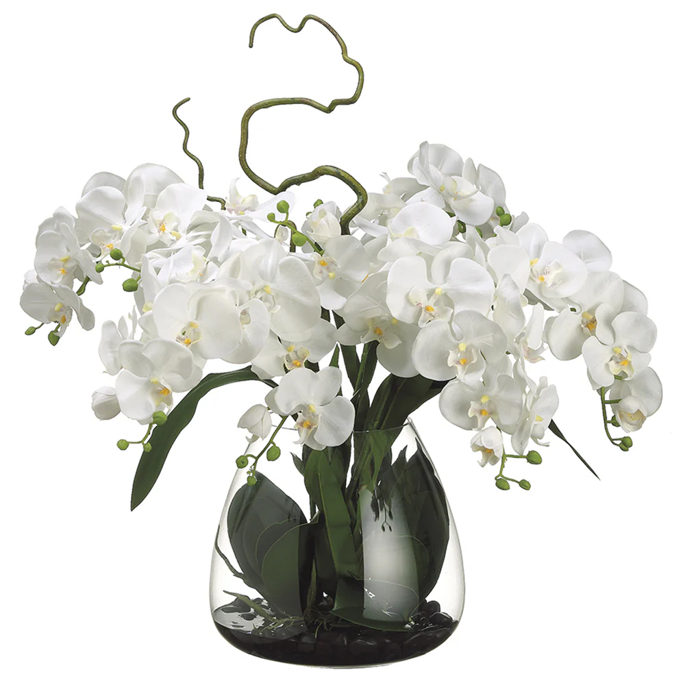 ARREGLO FLORAL PHALAENOPSIS WHITE 1157