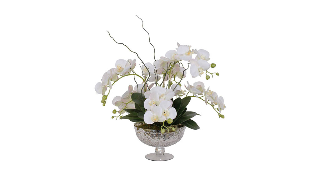 ARREGLO FLORAL PHALAENOPSIS WHITE 1492